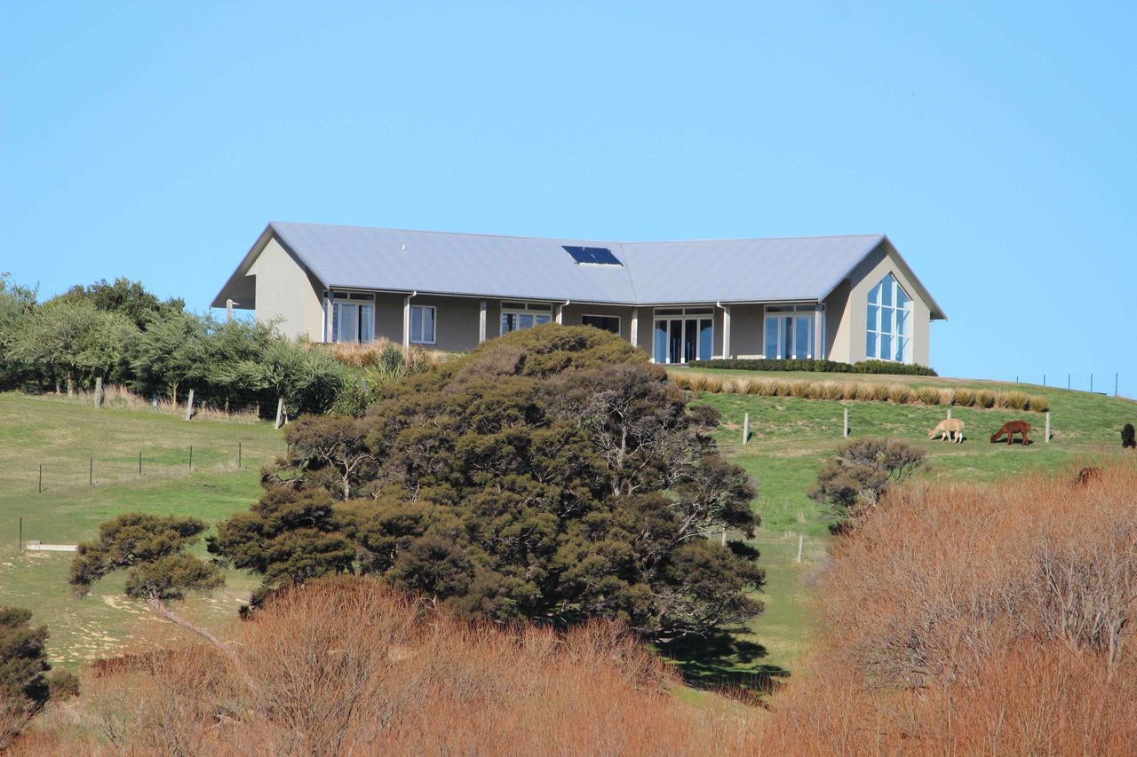 Gallin Farm Alpacas And Farmstay Masterton Exterior photo