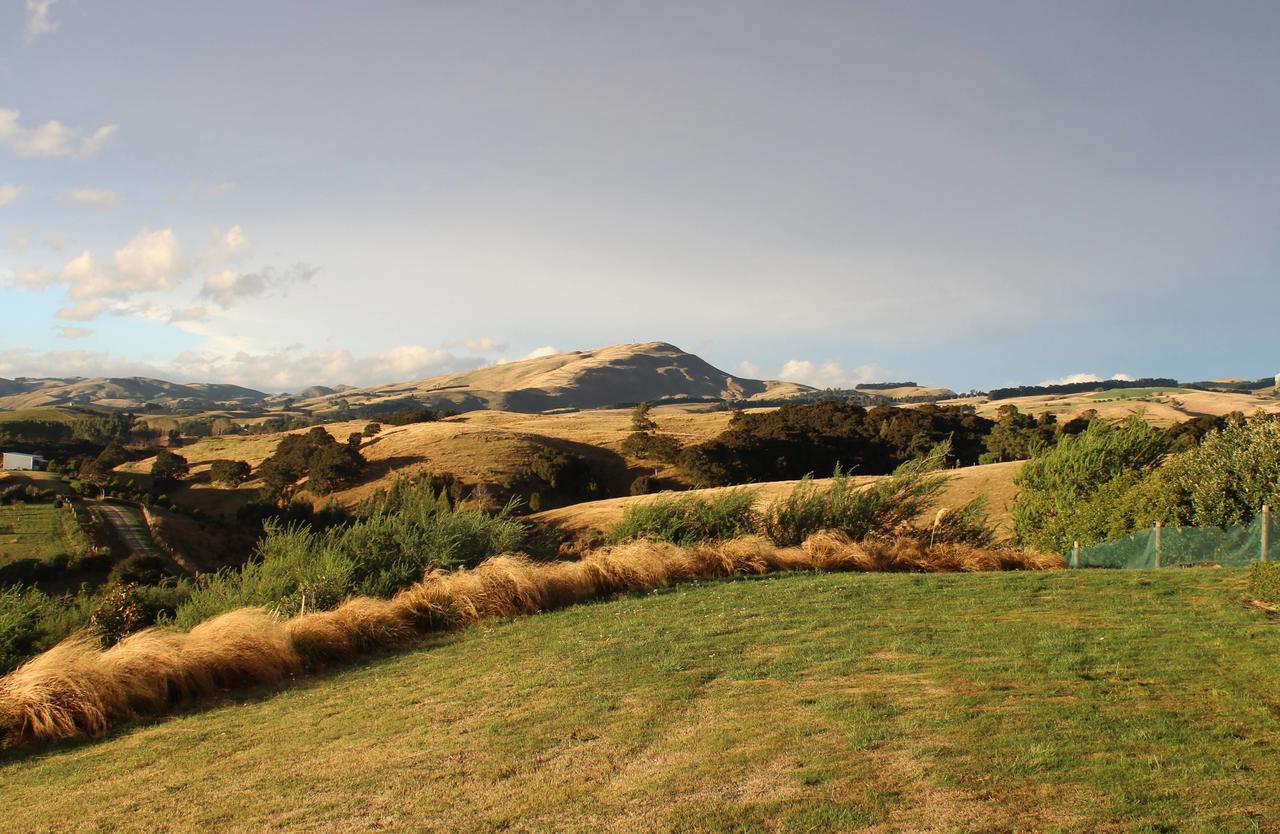 Gallin Farm Alpacas And Farmstay Masterton Exterior photo