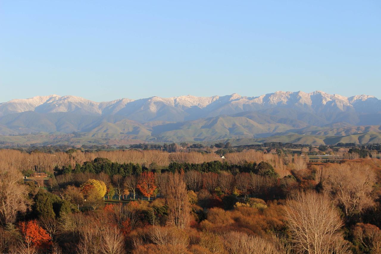 Gallin Farm Alpacas And Farmstay Masterton Exterior photo